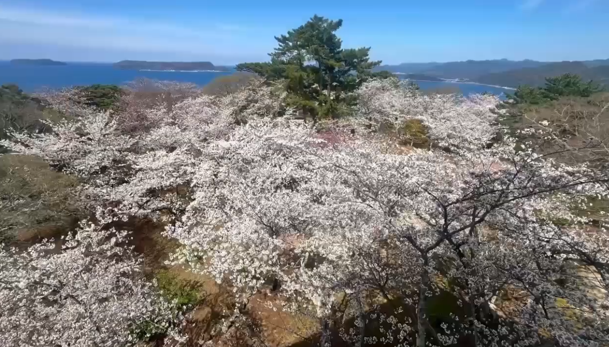 笠山の春2025